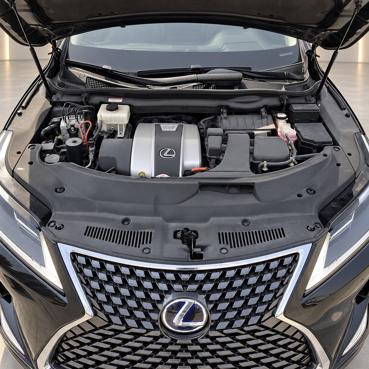 2020 Lexus RX450h