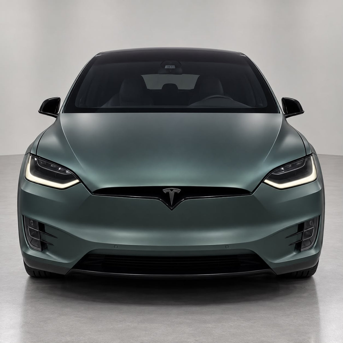 Tesla Model X 75D 2017