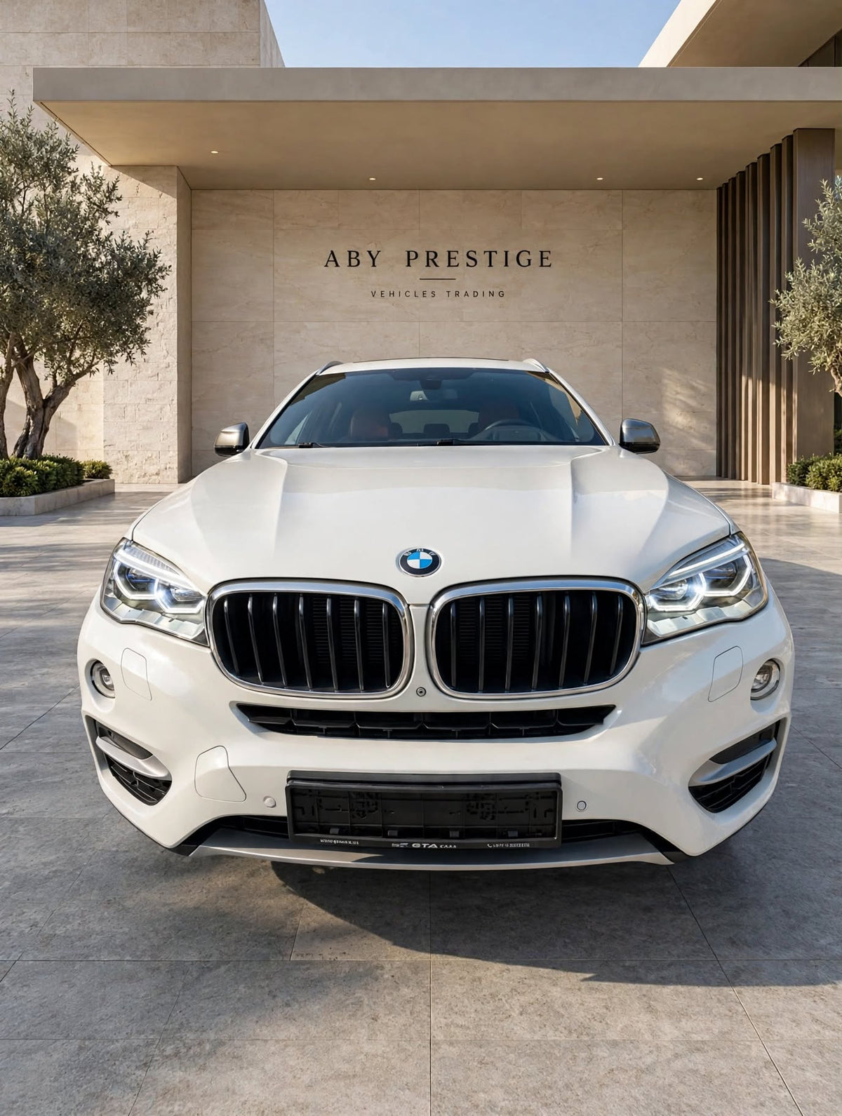 2015 BMW X6 photo 7