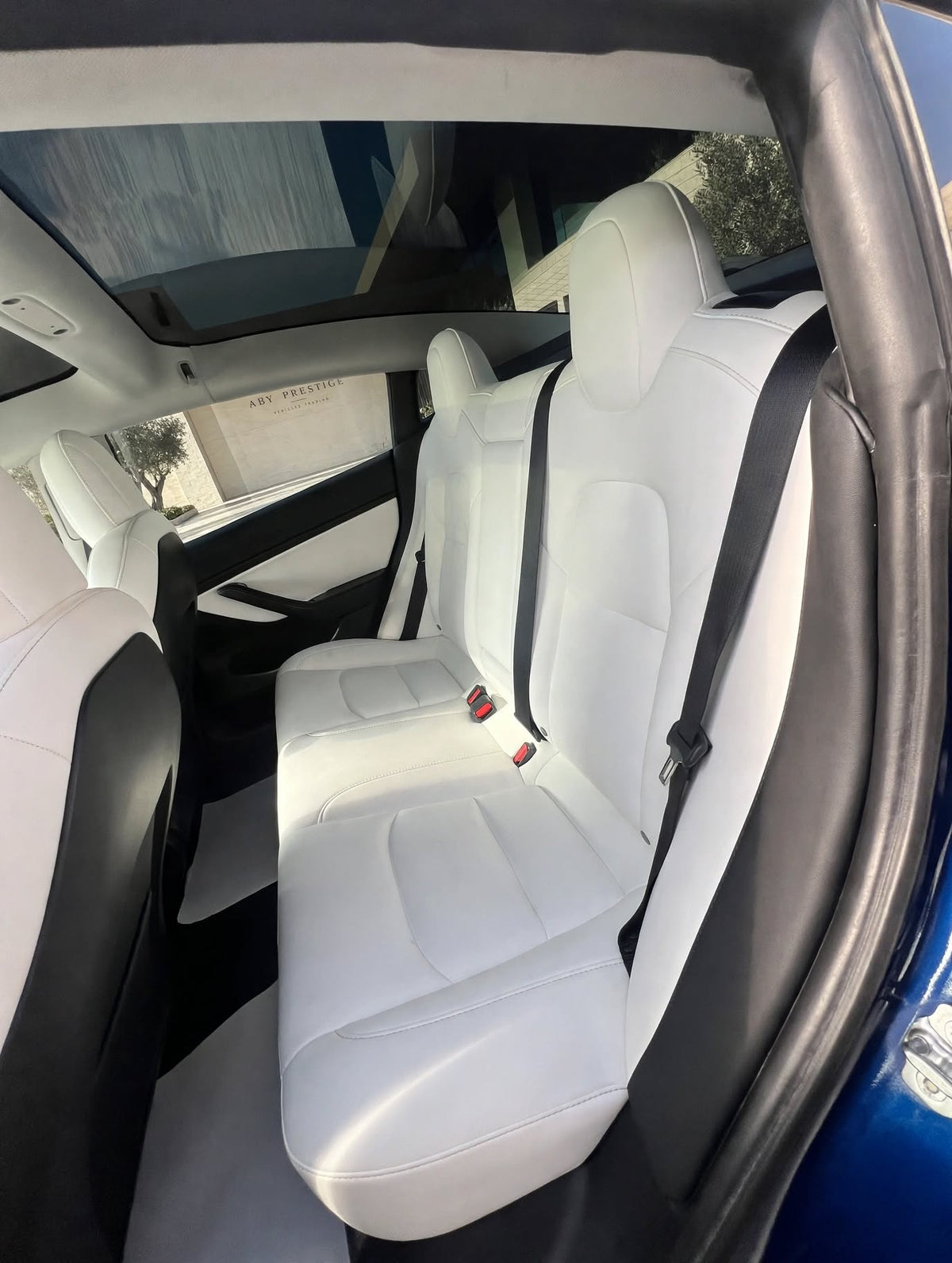 2020 Tesla Model 3 Blue Performance photo 8