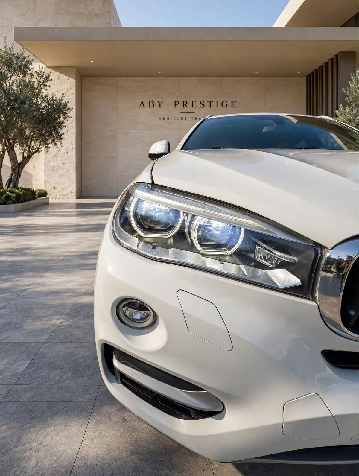 2015 BMW X6 photo 8