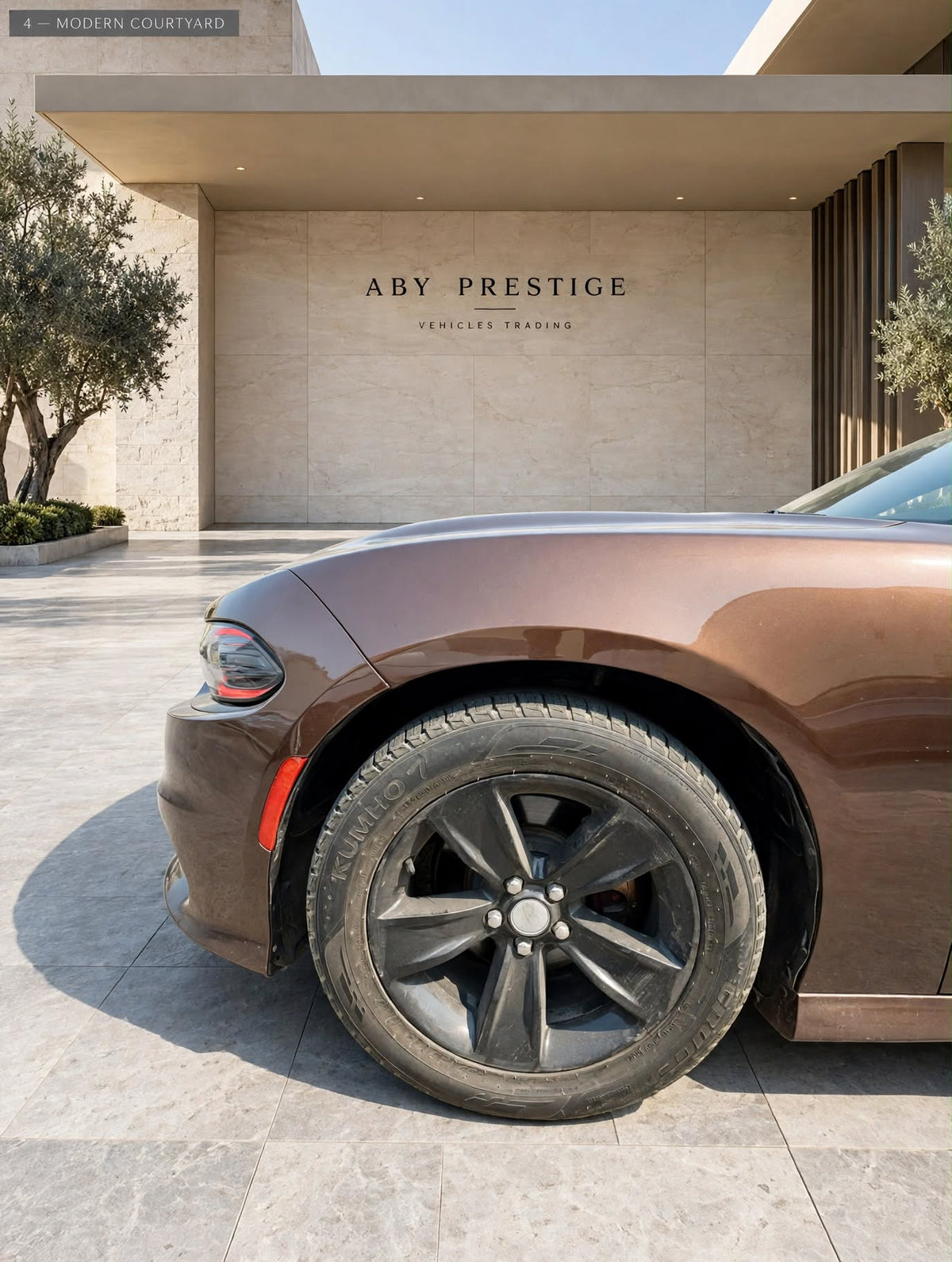 2017 Dodge Charger Brown