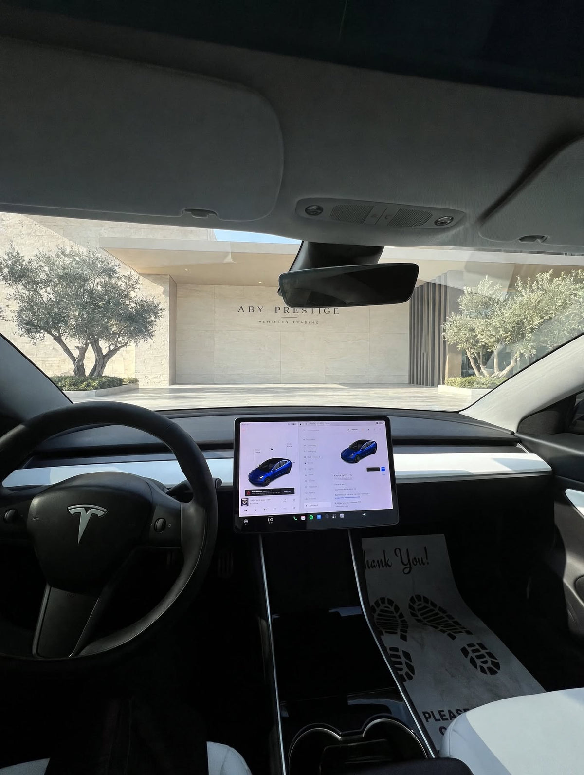 2020 Tesla Model 3 Blue Performance