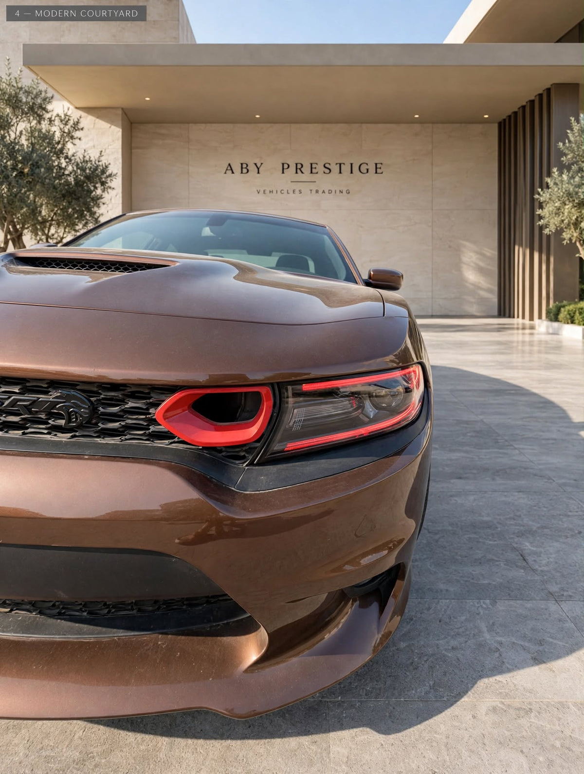 2017 Dodge Charger Brown photo 6